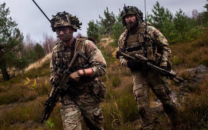 Дания направит своих военнослужащих в Украину
