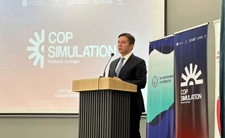 Замминистра: Председательство COP29 больше нацелено на сохранение самого процесса