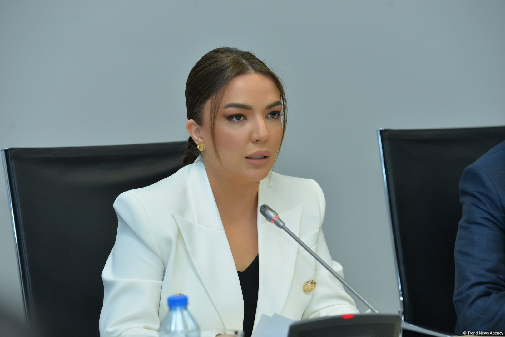 НПО Азербайджана установят новые связи с организациями из стран Глобального Юга