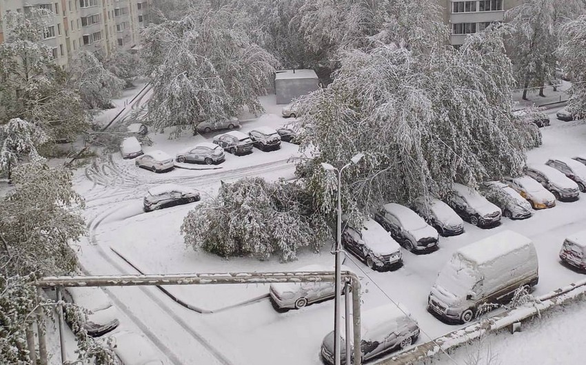 В Подмосковье из-за снегопада без электроэнергии остались 26 тыс. человек
