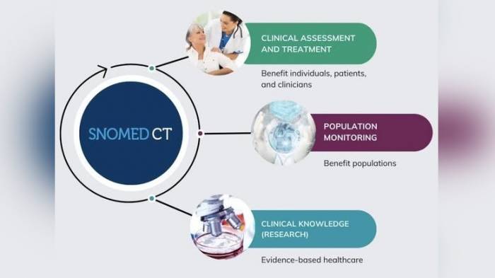 Монголия стала членом международной организации SNOMED International
