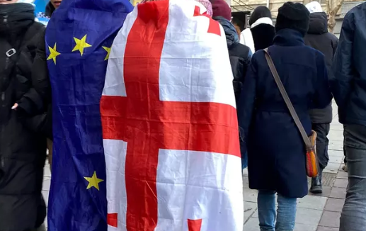 Ответственность за провокации грузинской оппозиции лежит на посольствах – Папуашвили