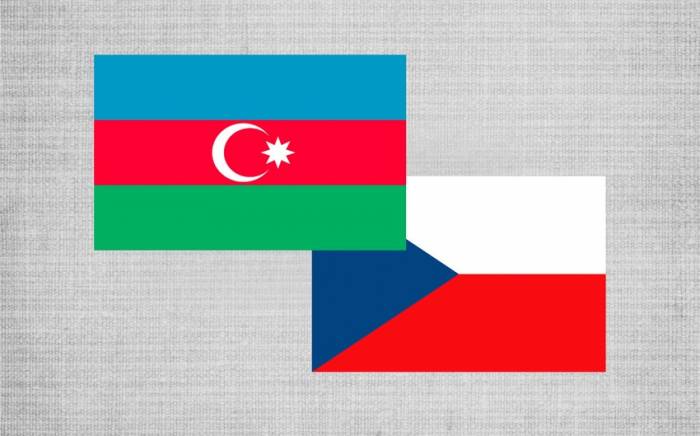 Азербайджан и Чехия провели очередной раунд межмидовских политконсультаций
