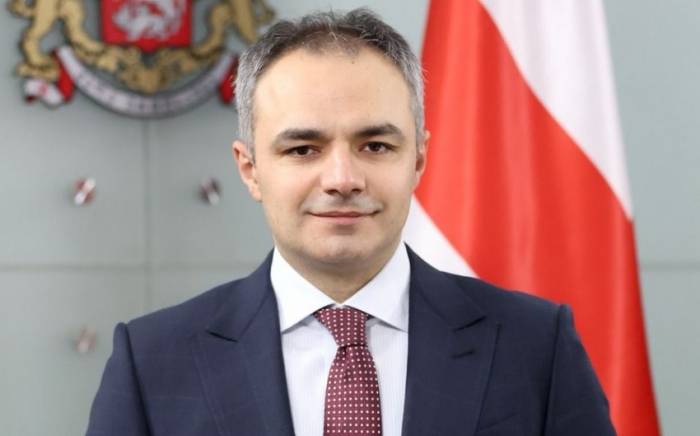 Глава Минобразования Грузии подал в отставку
