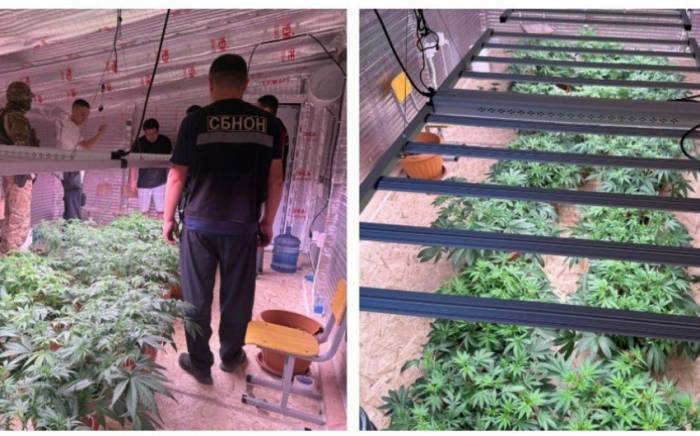 В Бишкеке выявлена нарколаборатория под прикрытием частного детсада
