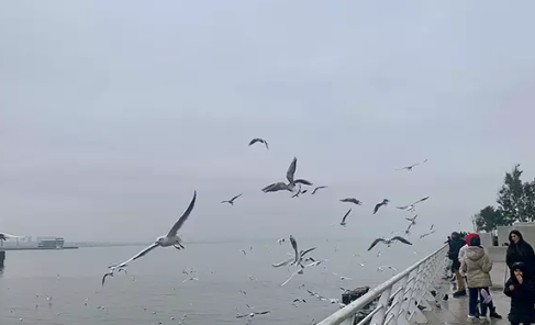 Баку предлагает странам ЦА вместе спасать Каспий
