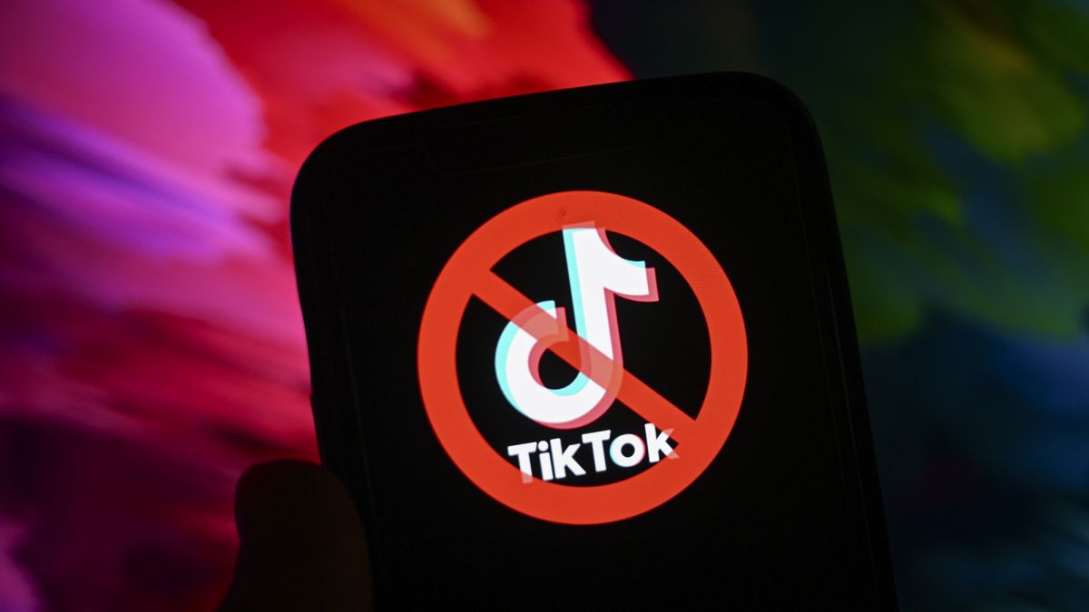 В Азербайджане предложили запретить детям доступ к TikTok