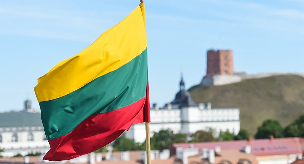 Литва выделит €30 млн на закупку для Украины систем Patriot