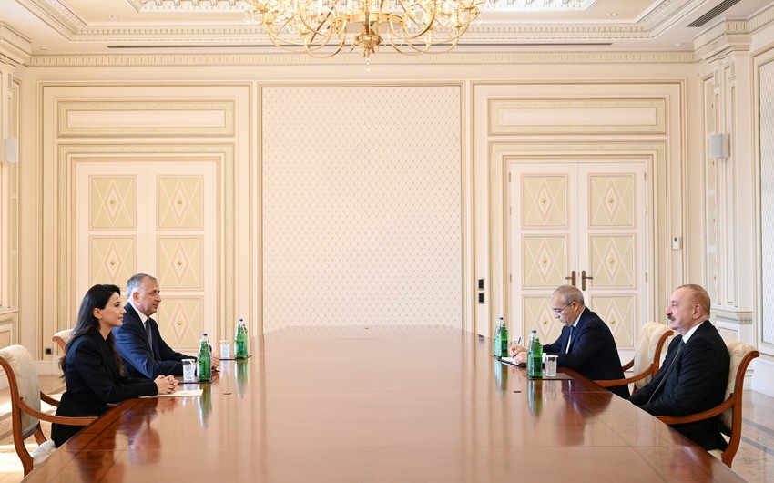 Президент Азербайджана принял министра экономики и устойчивого развития Грузии