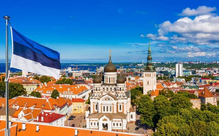 Эстония проведет конференцию по восстановлению Украины в 2027 году
