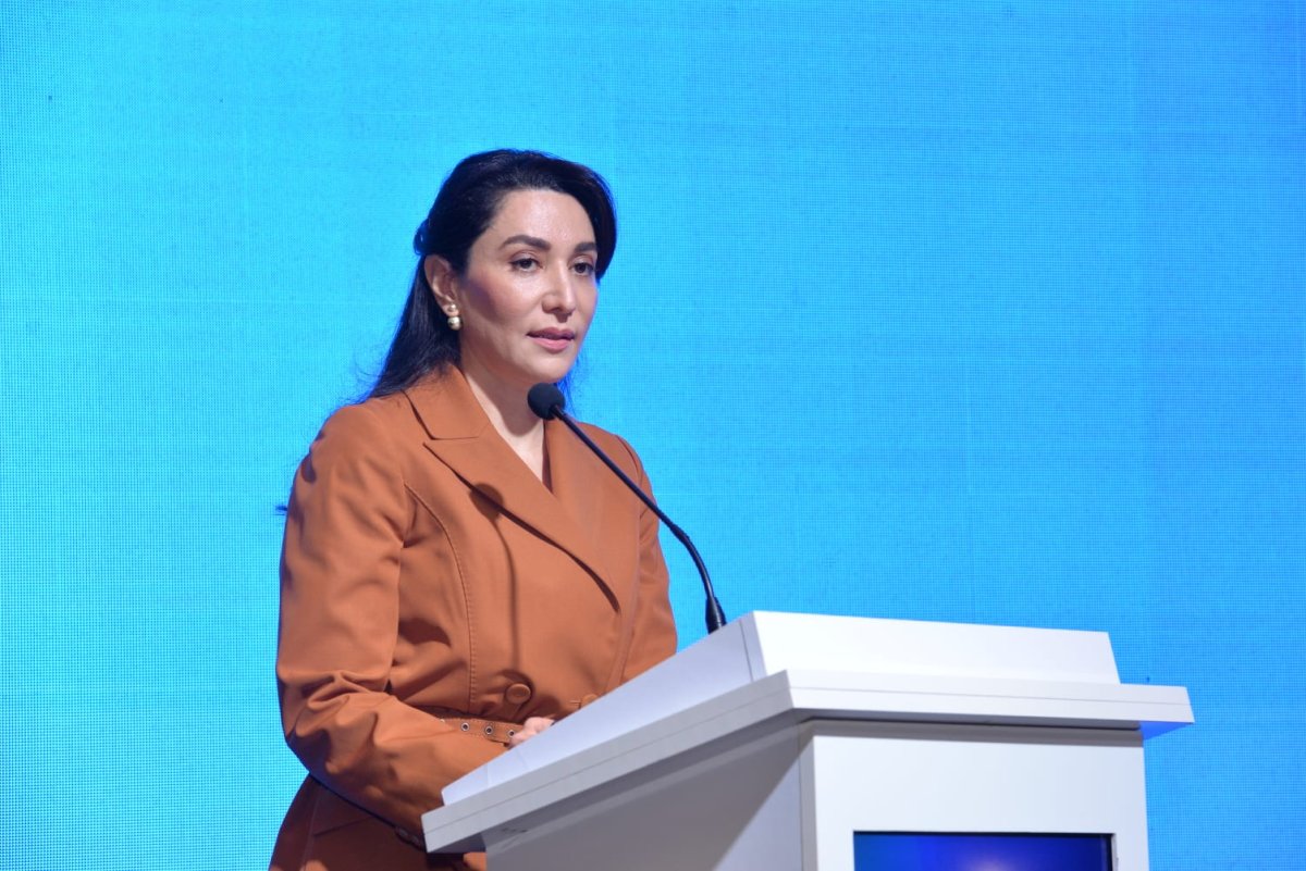 Сабина Алиева призвала мир активизировать усилия