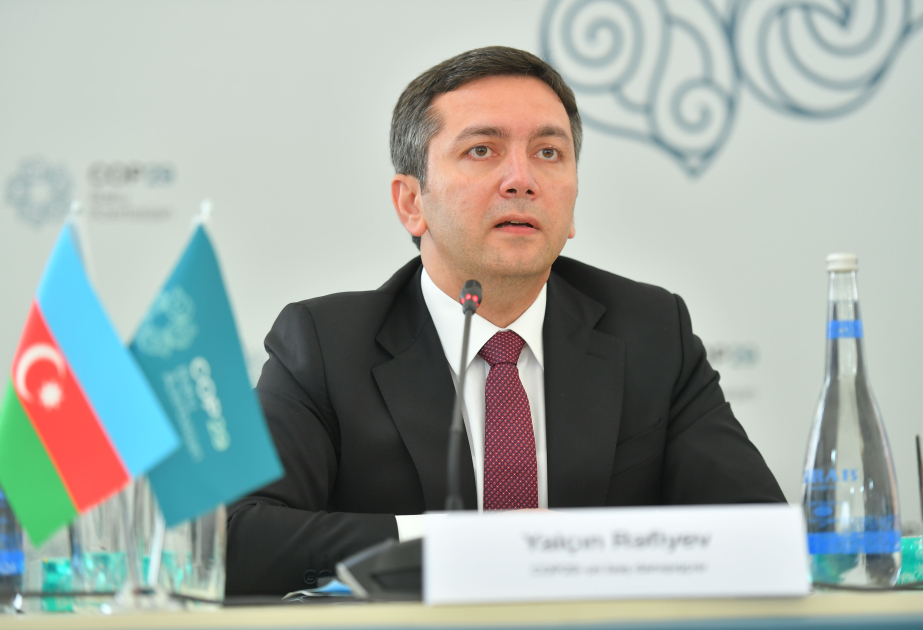 Ялчин Рафиев: Азербайджан выступает за проведение COP31 в Турции