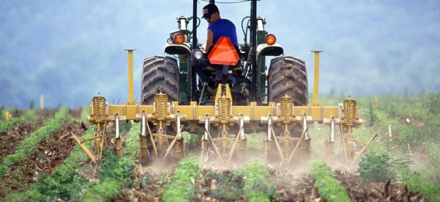 В рамках «Великого возвращения» будут предоставлены 50%-е субсидии на сельхозпроизводство