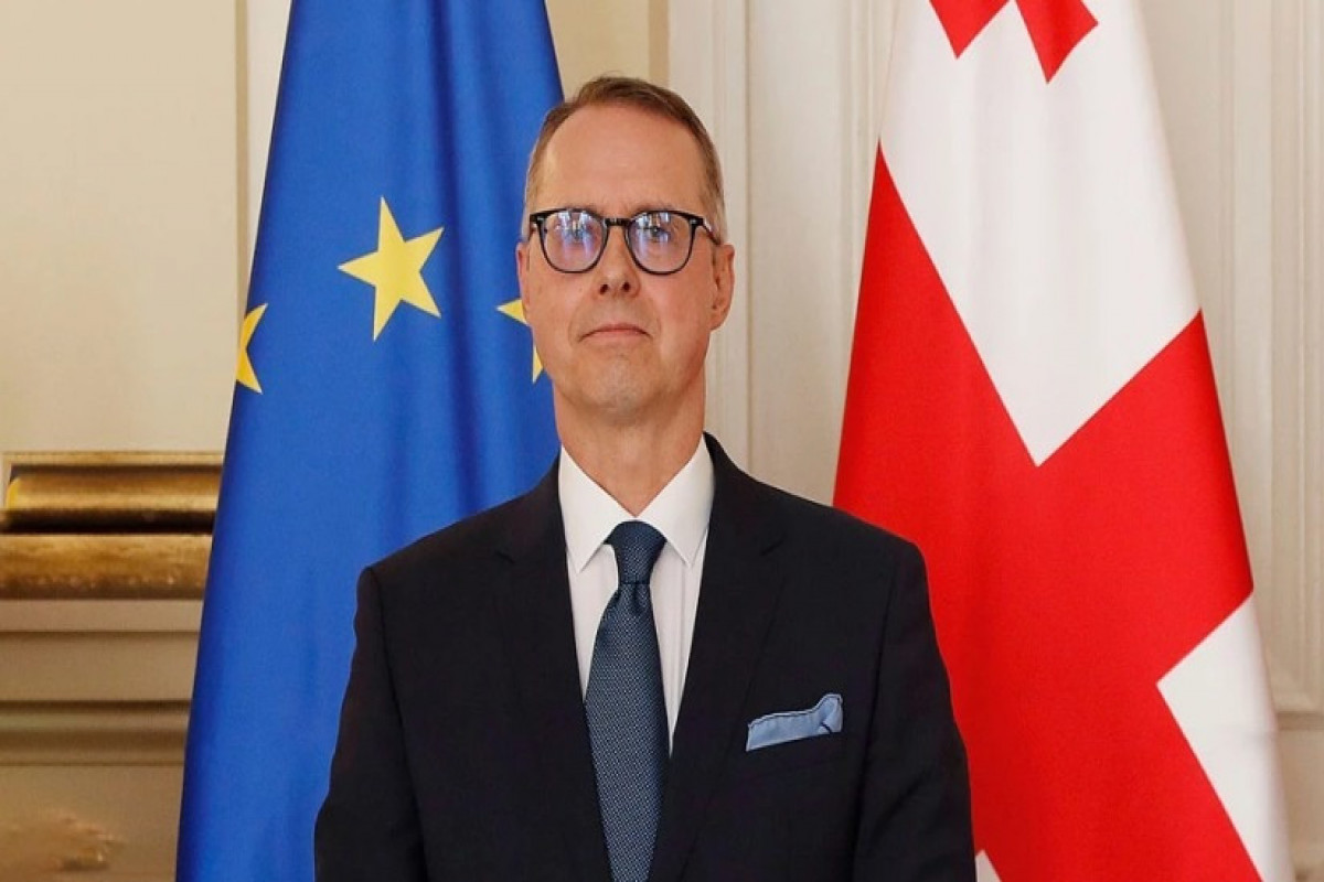 Посол Германии отказался от участия во встрече в МИД Грузии
