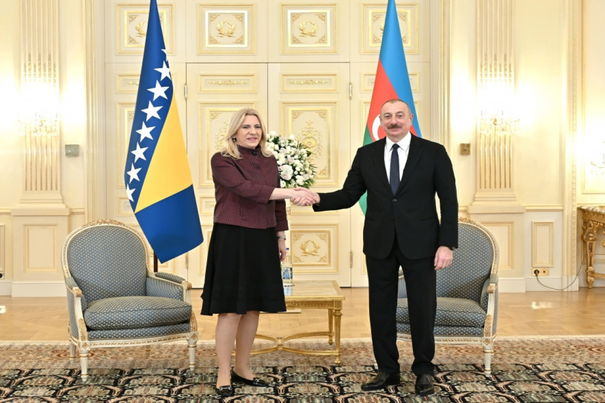 Желька Цвиянович поздравила Президента Азербайджана с Днём Победы
