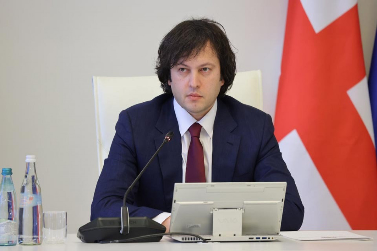 Кобахидзе: В Грузии не останется ни одного нелегального мигранта

