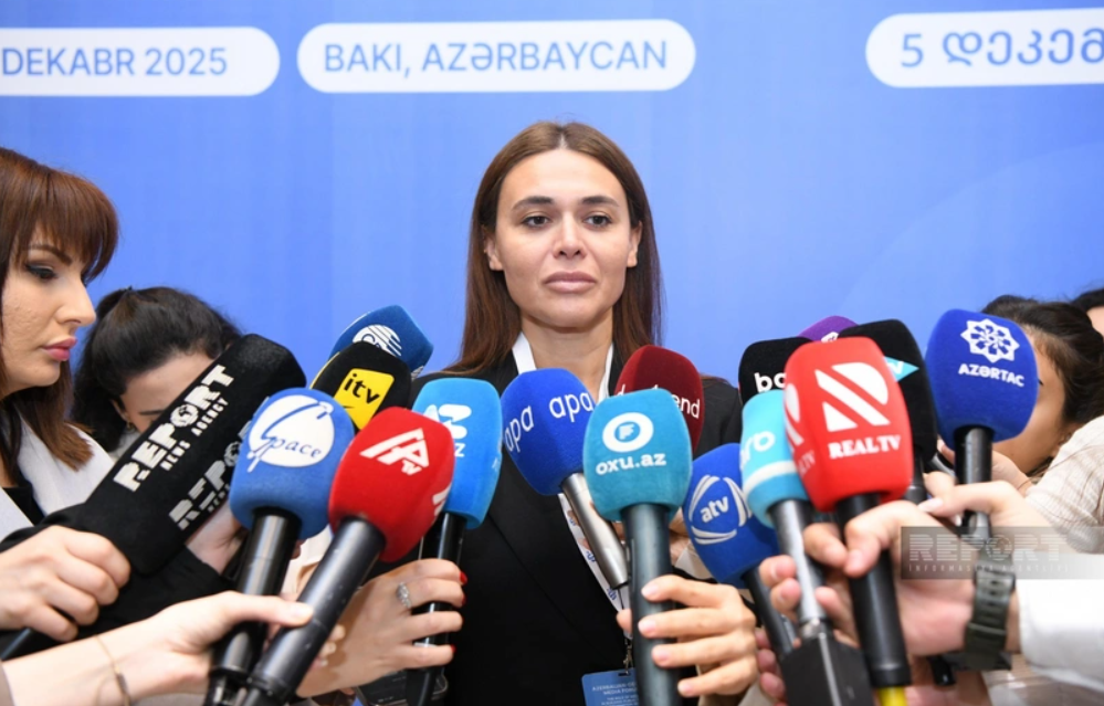 Грузия хочет перенять медиа идеи Азербайджана