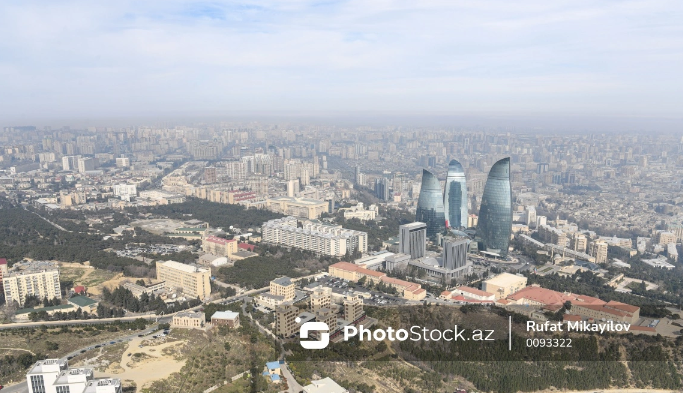 В Кюрдамире волки растерзали 10 голов мелкого рогатого скота