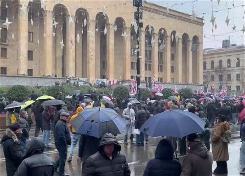 В Тбилиси проходит митинг против арабизации Грузии
