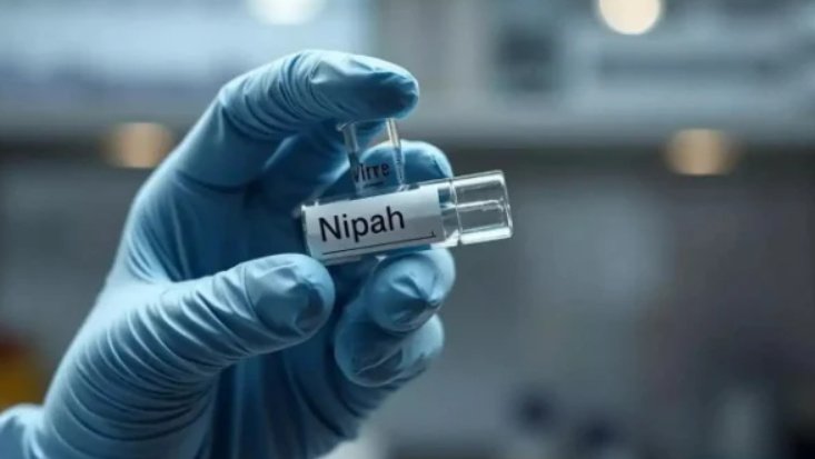 ВОЗ: оба инфицированных в Индии вирусом Нипах живы и находятся в больнице