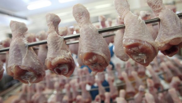 В Польше обнаружено куриное мясо с фипронилом