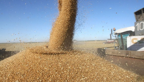 Россия возобновит экспорт зерна в Турцию