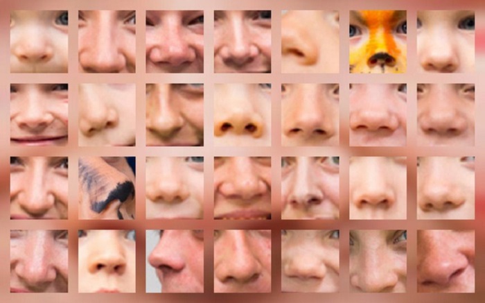 Определить форму носа по фото