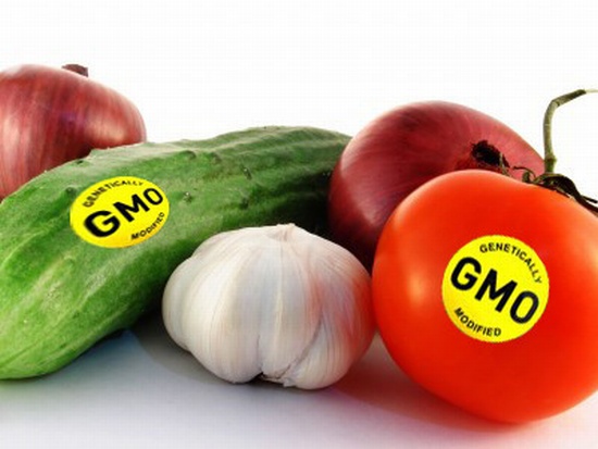 В России запрещено производство ГМО