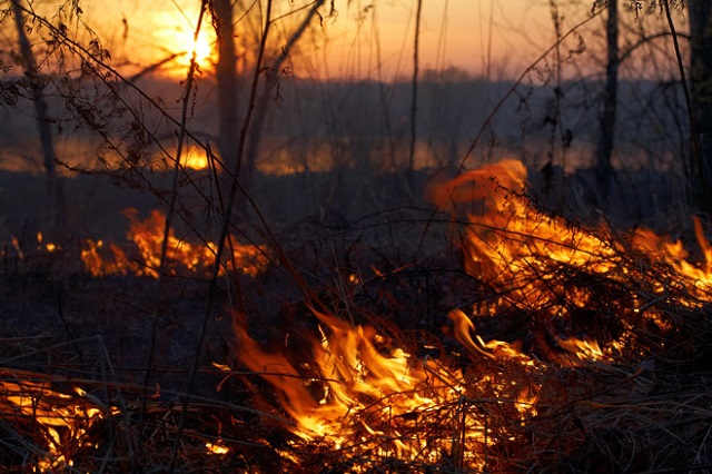 В Оклахоме бушуют лесные пожары