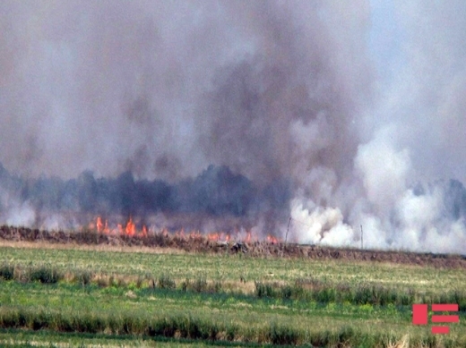 Пожары на оккупированных территориях Азербайджана