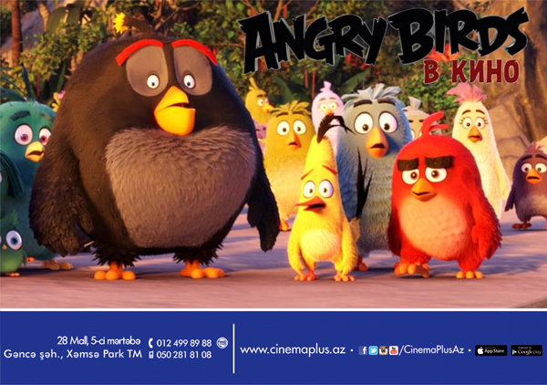 Смотрите «Angry Birds в кино» на экранах CinemaPlus -ТРЕЙЛЕР
