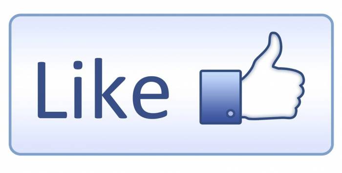 В Швейцарии впервые был вынесен приговор за "лайк" в "Фейсбуке"
