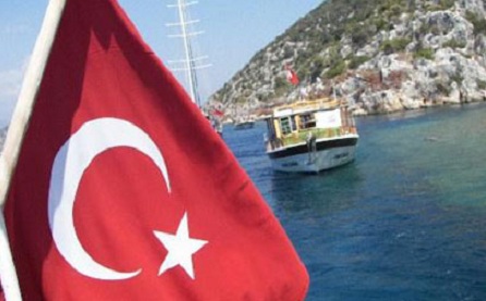 Турция приспустила флаги в знак солидарности с Францией