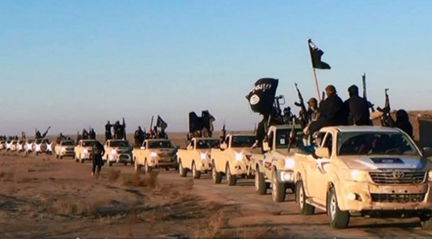 Госдеп сам отправил в Сирию Toyota, оказавшиеся в руках ИГИЛ