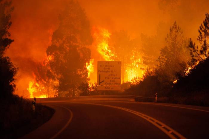 Число жертв лесных пожаров в Португалии возросло до 63 человек