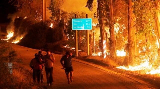 В Чили продолжают бушевать сильные лесные пожары