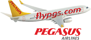 Экстренная посадка самолета Pegasus Airlines в Исфахане
