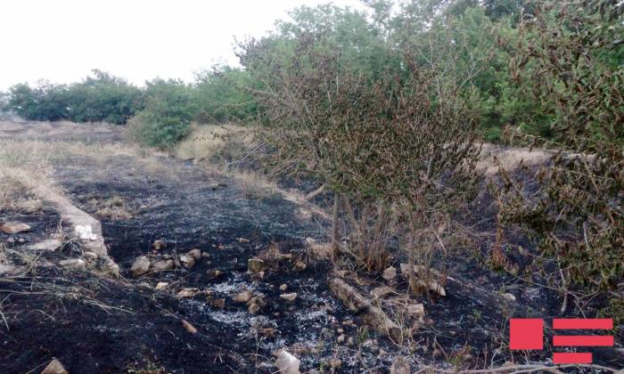 Армянская армия вновь учинила пожары в Агдамском районе