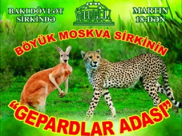 Большой московский цирк едет в Баку с гепардами и леопардами