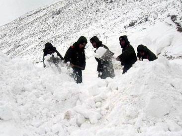 Из-за снегопада в Тибете пострадали 20 тысяч человек