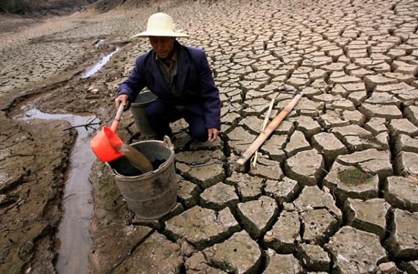 Ученые: Изменение климата может вызвать всемирный голод через 10 лет