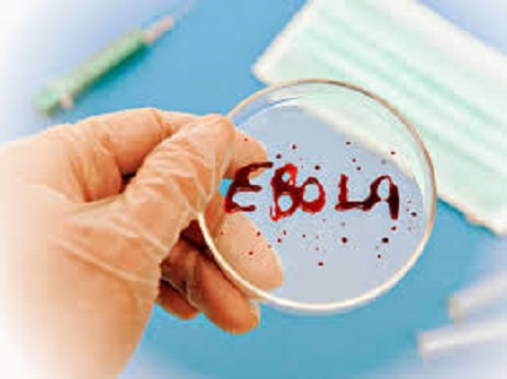 Медики одобрили вакцины от Эболы