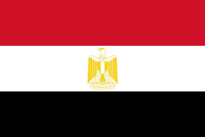 Армия в Египте по указанию президента взяла под охрану важные объекты  