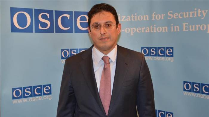 Постпред: Азербайджан ожидает от ОБСЕ эффективных действий