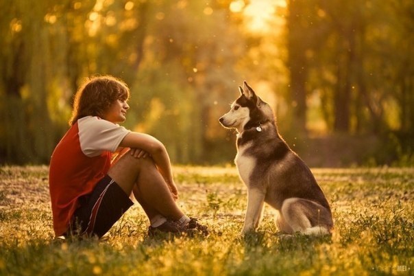 Ученые назвали причину дружбы собаки с человеком