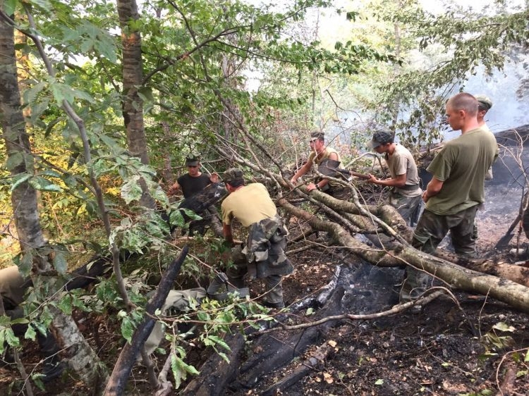 Погода мешаeт ликвидации пожара в Габале
