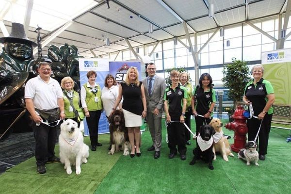 В аэропорту Ванкувера появились собаки для объятий (ФОТО)