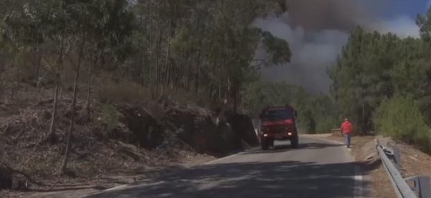 В Португалии пожары уничтожают леса