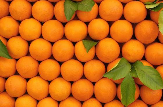 В Россию запретили ввозить турецкие апельсины