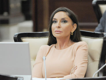 Спикер Милли Меджлиса поздравил первую леди Азербайджана с новым постом